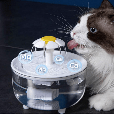 Fontaine à Eau Pour Chat - CatDrinker™ - Blanc Transparent - Dingue de chat