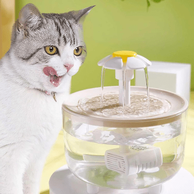 Fontaine à Eau Pour Chat - CatDrinker™ - Bois Transparent - Dingue de chat