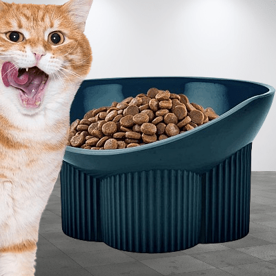 Gamelle pour chat - Anti - tipCatBowls™ - Bleu vert - Dingue de chat