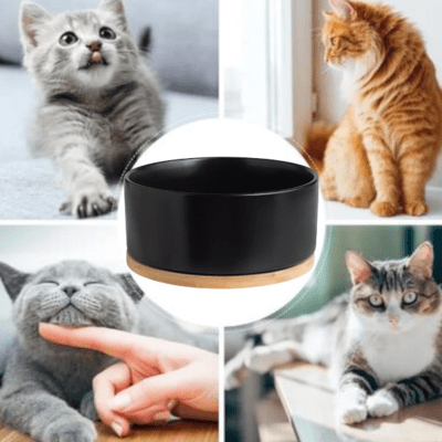 Gamelle pour Chat - WarmSipCatBowl™ - Noir - Dingue de chat