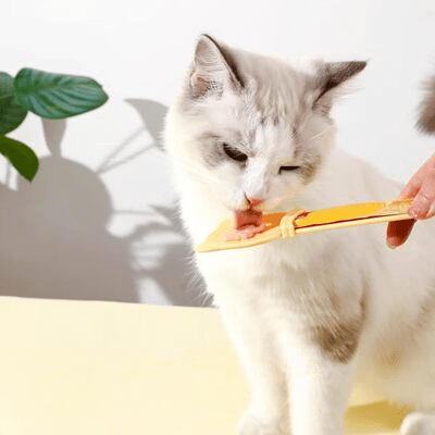 Distributeur Nourriture Chat - MeowSpoon™ - Orange - Dingue de chat