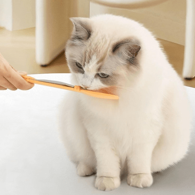 Distributeur Nourriture Chat - MeowSpoon™ - Orange - Dingue de chat