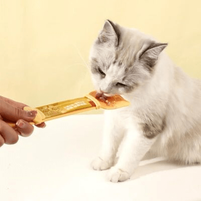 Distributeur Nourriture Chat - MeowSpoon™ - Orange - Dingue de chat