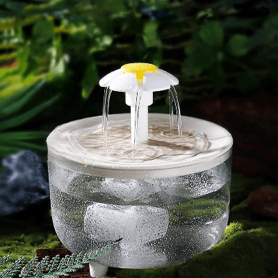 Fontaine à Eau Pour Chat - CatDrinker™ - Bois Transparent - Dingue de chat