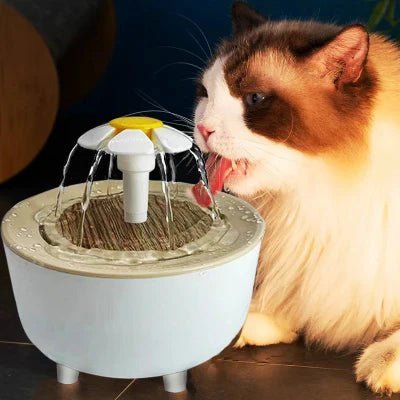Fontaine à Eau Pour Chat - CatDrinker™ - Grain de bois blanc - Dingue de chat