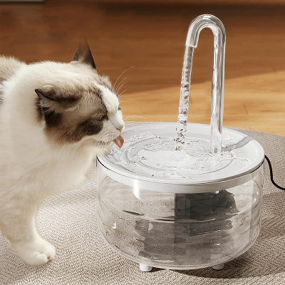 Fontaine à Eau Pour Chat - CatDrinker™ - Tube Transparent - Dingue de chat