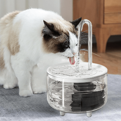 Fontaine à Eau Pour Chat - CatDrinker™ - Tube Transparent - Dingue de chat