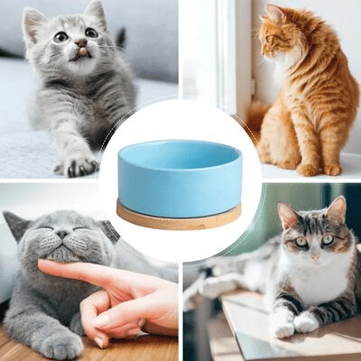 Gamelle pour Chat - WarmSipCatBowl™ - Bleu - Dingue de chat