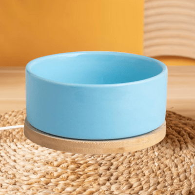 Gamelle pour Chat - WarmSipCatBowl™ - Bleu - Dingue de chat