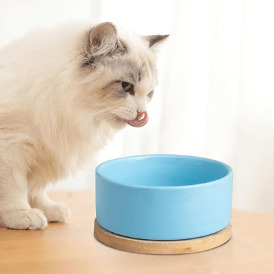 Gamelle pour Chat - WarmSipCatBowl™ - Bleu - Dingue de chat