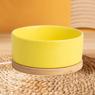 Gamelle pour Chat - WarmSipCatBowl™ - Jaune - Dingue de chat