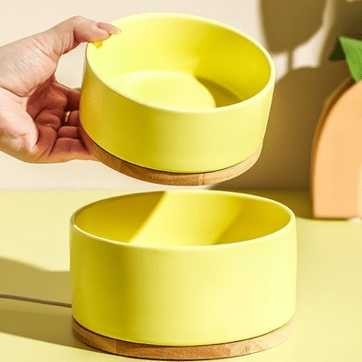 Gamelle pour Chat - WarmSipCatBowl™ - Jaune - Dingue de chat