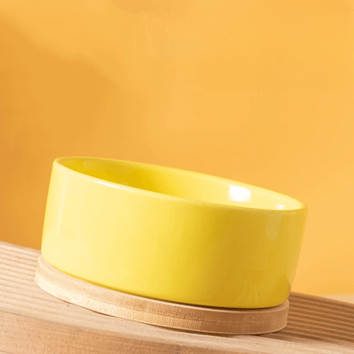 Gamelle pour Chat - WarmSipCatBowl™ - Jaune - Dingue de chat