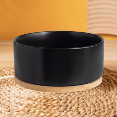 Gamelle pour Chat - WarmSipCatBowl™ - Noir - Dingue de chat