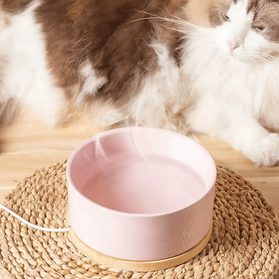 Gamelle pour Chat - WarmSipCatBowl™ - Rose - Dingue de chat