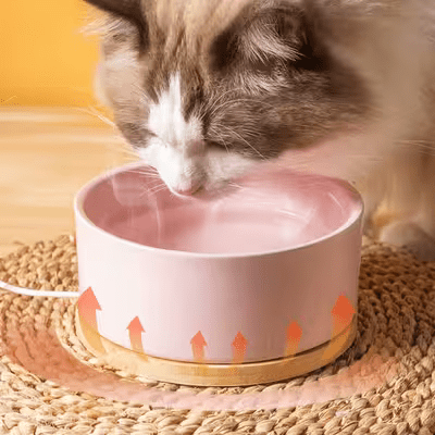 Gamelle pour Chat - WarmSipCatBowl™ - Rose - Dingue de chat
